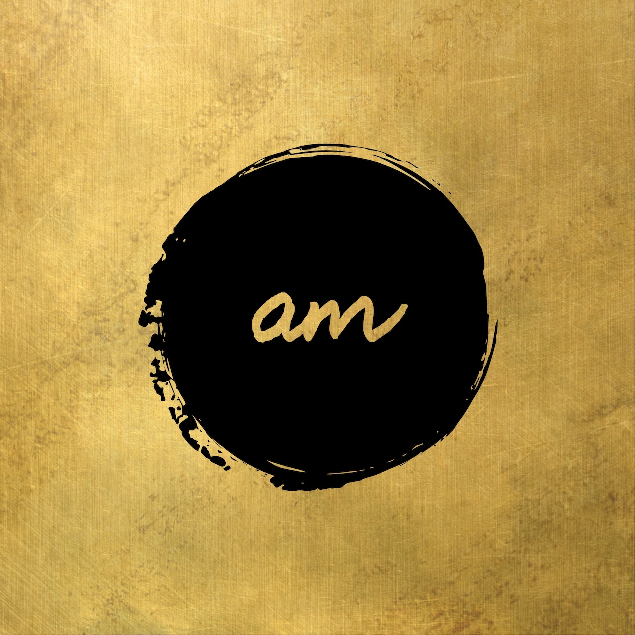 am_logo4IGNITE